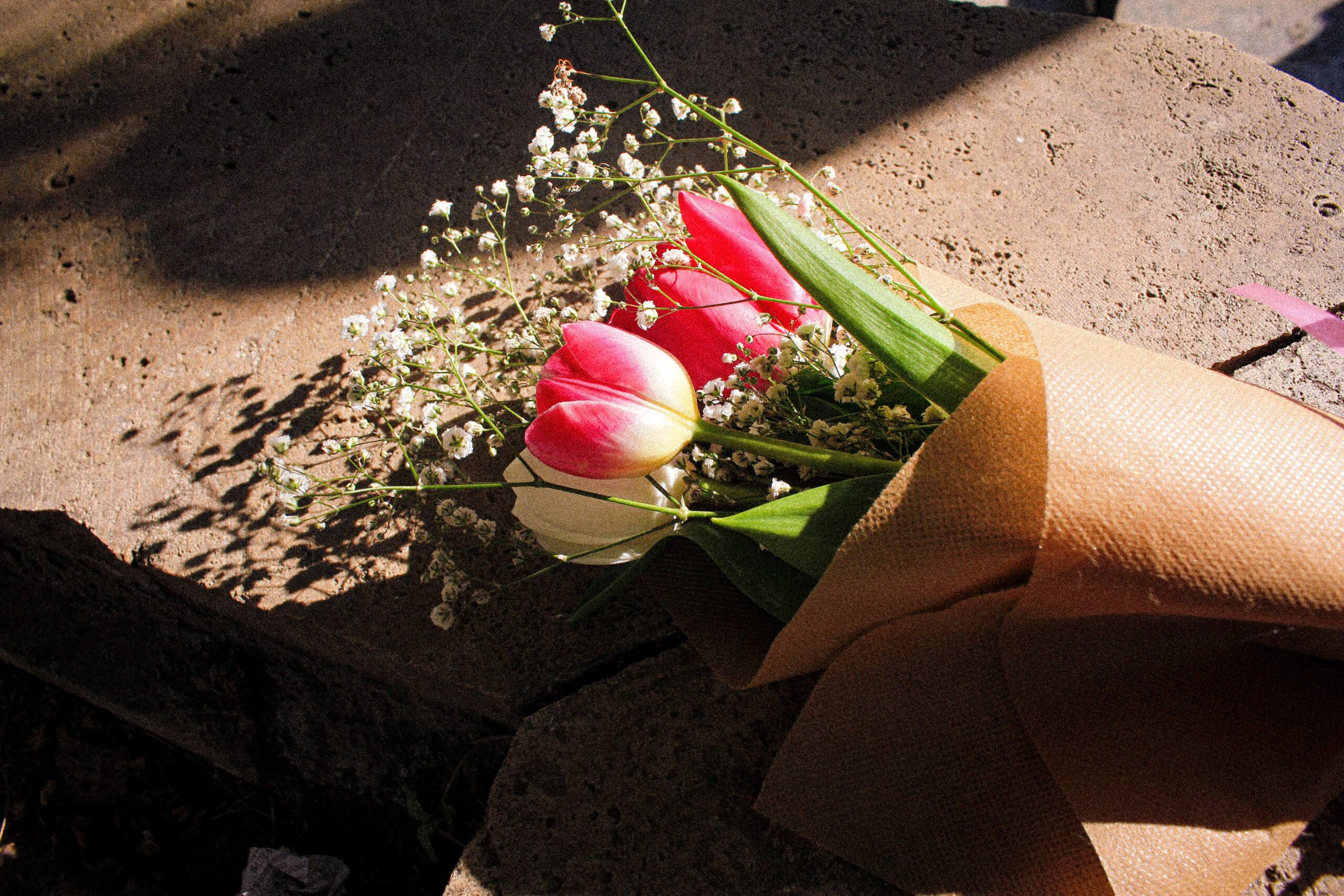 About A beautiful bouquet of pink and white tulips with baby's breath, wrapped in paper, lit by sunlight on a stone surface.