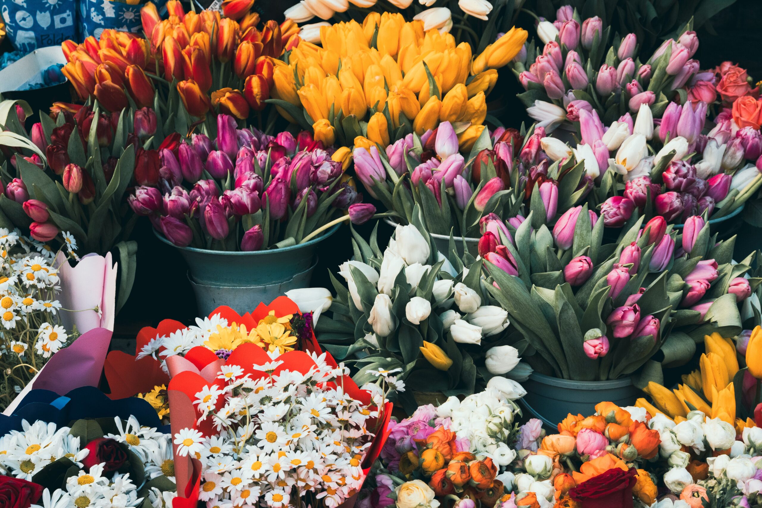 Home Vibrant tulip bouquets on display at an outdoor market, capturing the essence of spring colors.